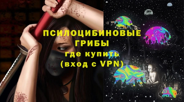 бутират Сатка