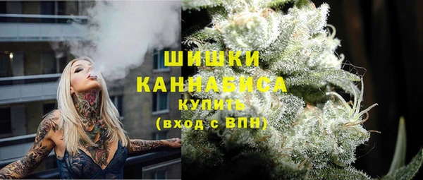 дурь Заводоуковск