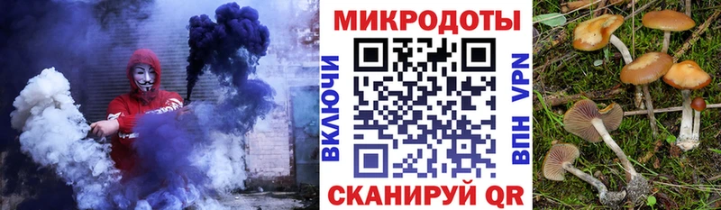 даркнет телеграм  Старица  Галлюциногенные грибы Cubensis 