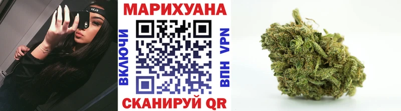 Шишки марихуана SATIVA & INDICA  купить  цена  Старица 